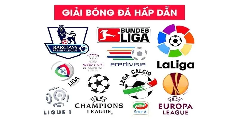 cac-vong-tranh-cup-bong-da-duoc-tim-kiem-nhieu-min